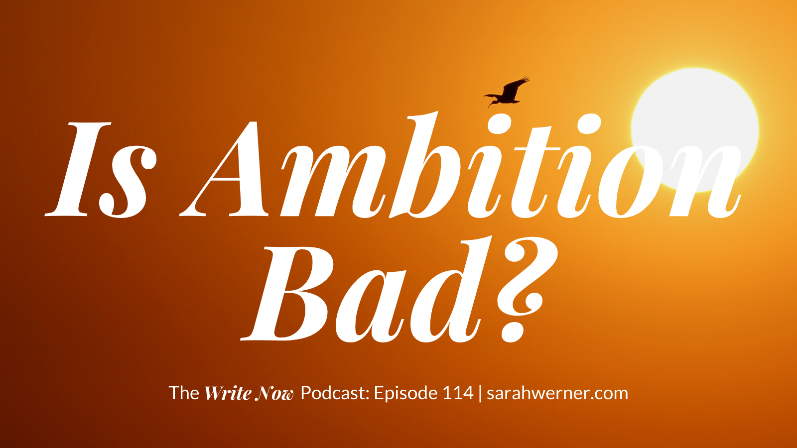 is-ambition-bad-wnp-114-sarah-rhea-werner