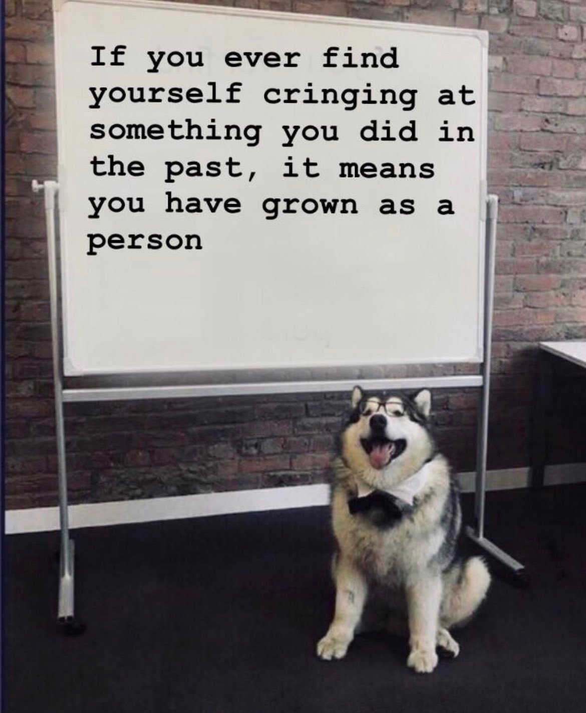 Image of a husky at a whiteboard that says, "If you ever find yourself cringing at something you did in the past, it means you have grown as a person."